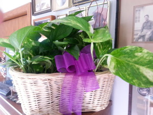 This "funeral plant" from my brother-in-law's visitation at the funeral home will bring fresher air to my home office for years to come and it will be a reminder of a time when people gathered to honor Grant and to share a multitude of surprising stories about my brother-in-law.